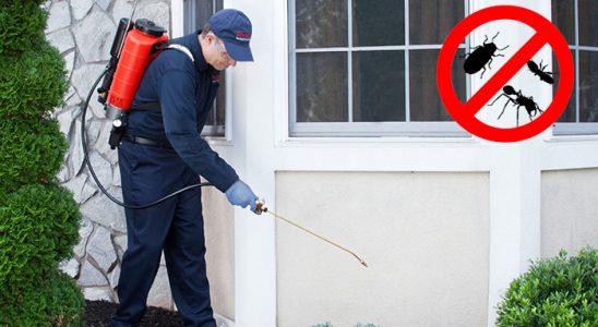 Hatundere Karınca İlaçlama böcek ilaçlama ve haşere kontrolü — ilaclama-tr.com